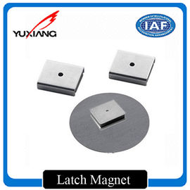 High Corrosion Resistance Custom Made Magnets Latch Magnet For Speakers